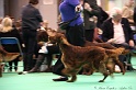 Crufts2011 898